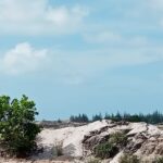 Tambang Timah Ilegal di Hutan Lindung Kelabat, Marwan: Segera Kami Turunkan Tim