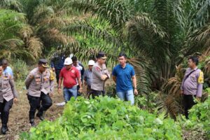 Kapolda Babel Turun Langsung ke TKP Penemuan Jenazah Bocah di Area Perkebunan Kelapa Sawit