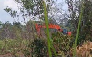 TI Ilegal Semakin Menggila, Hutan Lindung di Desa Cupat Dihajar Alat Berat