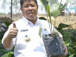 Panglima Aren Hidayat Arsani, Sudah Bergerak Siapkan Industrialisasi Aren untuk Kesejahteraan Masyarakat