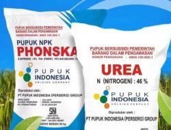 Jaksa Usut Dugaan Penyimpangan Pupuk Subsidi, PT Pupuk Indonesia Sebut Belum Diperiksa