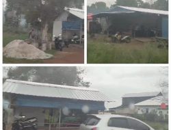 Himbauan Kapolres Beltim Dicueki, Bisnis Timah Ilegal Asu Damar Makin Menjamur