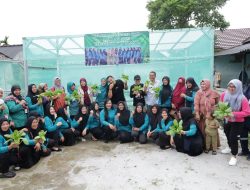 Panen Perdana KWT Pandan Sari, Pj Wako Pangkalpinang dan Pj Ketua TP PKK Tunjukkan Potensi Pekarangan Jadi Ladang Penghasilan