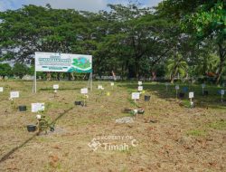 PT. Timah Bersama PLN dan METI Tanam 1.500 Pohon Angsana di Taman Energi Balai Karya