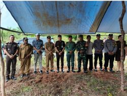 Warga Desa Tanjung Rusa Sepakat Cabut Pohon Sawit di Area Kawasan Hutan, Ini Kata Kajari Belitung