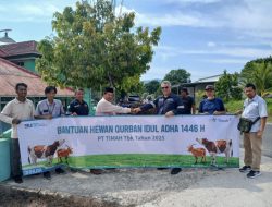 Tebar Hewan Kurban di Bangka Barat, Warga Sebut PT Timah Tidak Pernah Absen Berikan Hewan Kurban 