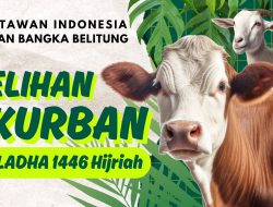 PWI Babel Gelar Penyembelihan Hewan Kurban Iduladha 1446 H