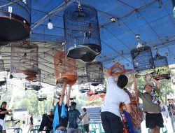 Jelang Hari Bhayangkara Ke 79, Ratusan Kicau Mania Ikuti Lomba Burung Kicau di Polda Babel