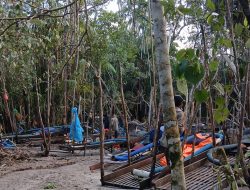 Penambang Timah di Jeramba Pilang Dipalak Rp 3 Juta, Wajib Setor Harian dan ‘Uang Koordinasi’