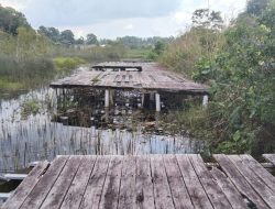 Telan Anggaran Miliaran Rupiah, Wisata Kulong Purun Terbengkalai