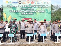Polda Babel Gelar Penanaman Jagung Serentak Kuartal IV, Dukung Swasembada Pangan Nasional