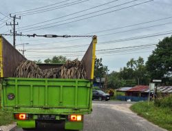 Usai Ditangkap TNI AL, Karsono Terduga Pencuri Kabel Laut Dibebaskan?