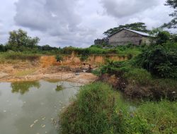 Seruan Keras Presiden Prabowo Dianggap “Angin Lalu”, Tambang Timah Ilegal di Parit Enam Masih Tetap Melaju